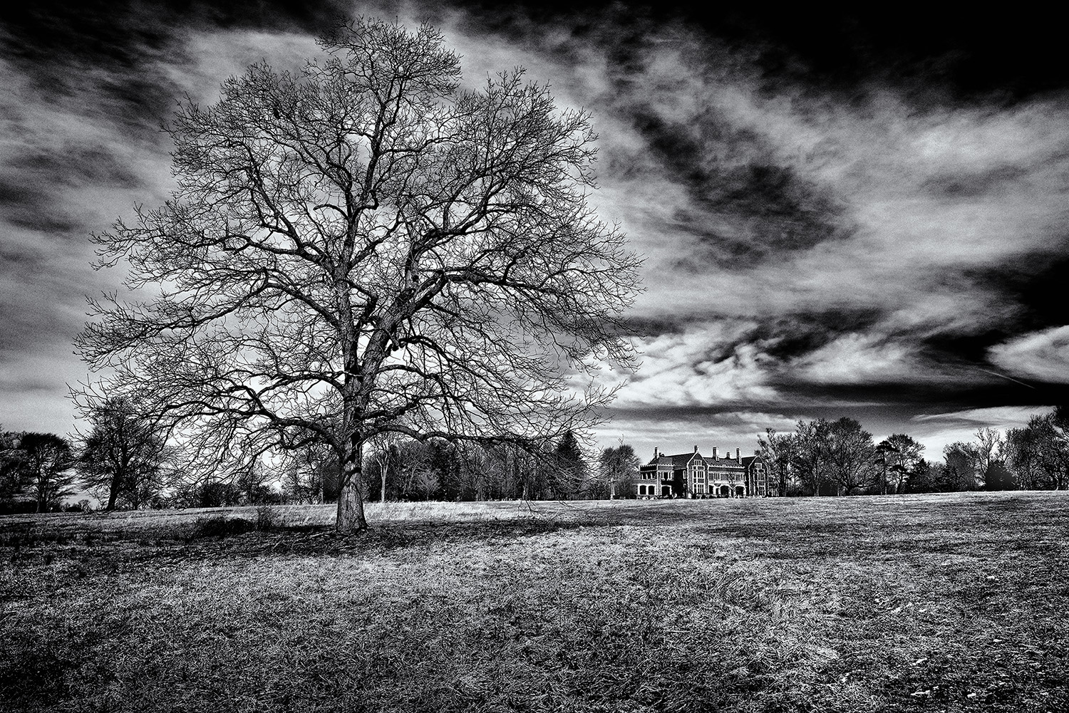 The-Guardian-at-Waveny-Mansion